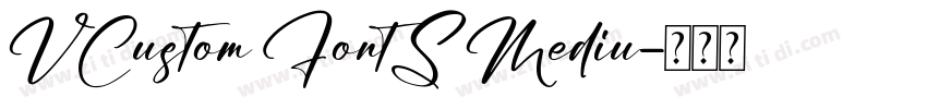 VCustom FontS Mediu字体转换